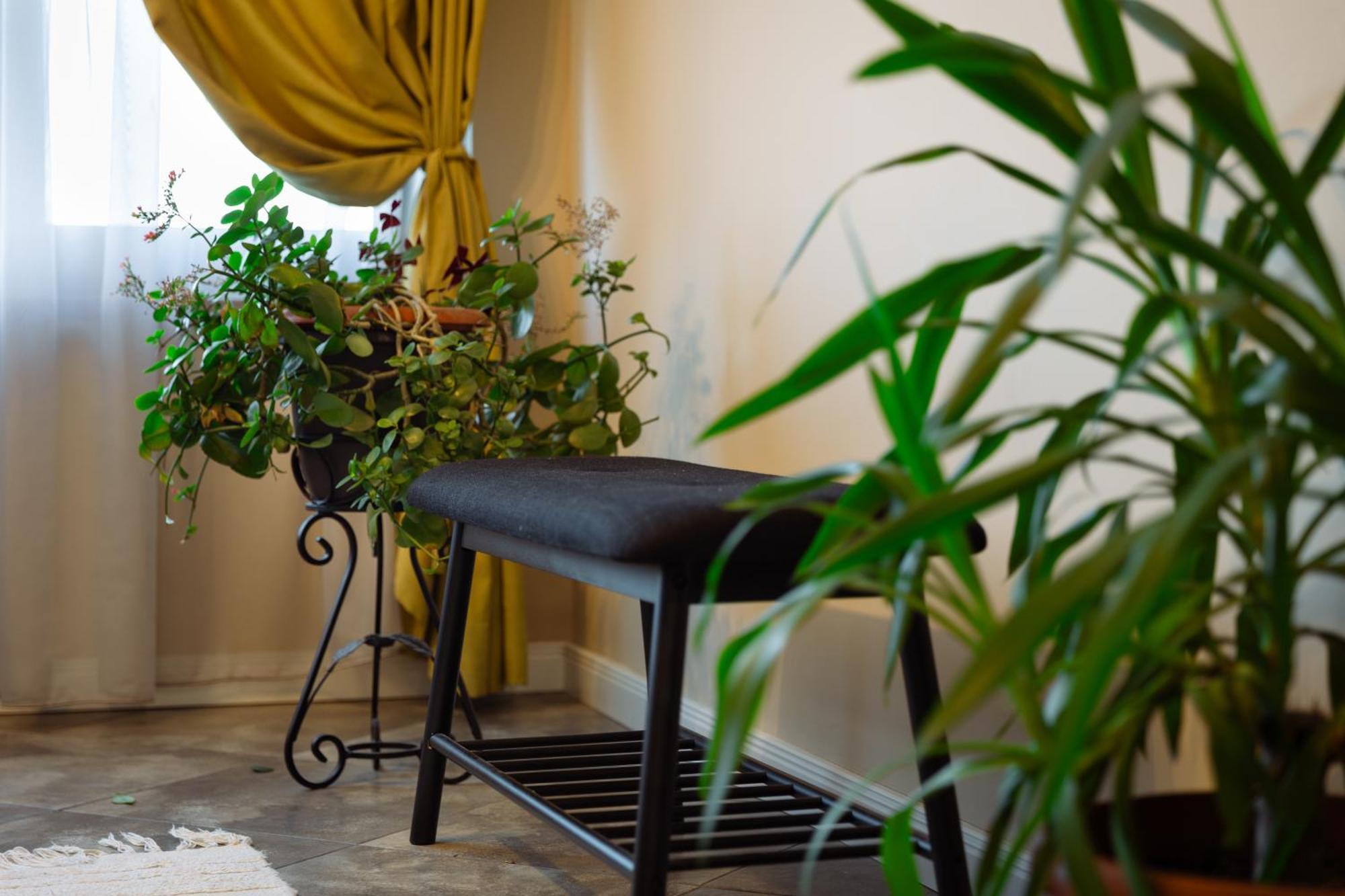 Dervent Apartment Βελίκο Τίρνοβο Εξωτερικό φωτογραφία